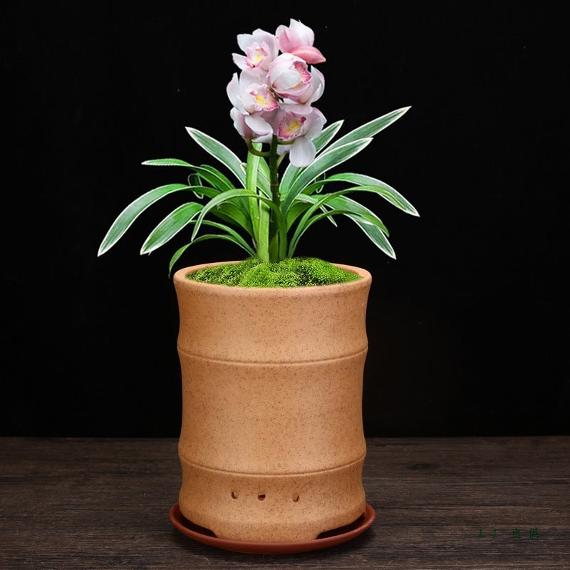 Firewood Purple Sand Orchid Pots Bamboo Basin Breathable Bonsai