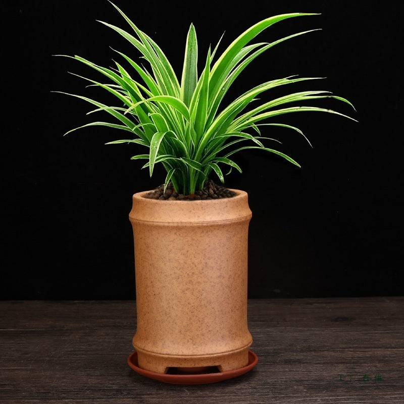 Firewood Purple Sand Orchid Pots Bamboo Basin Breathable Bonsai