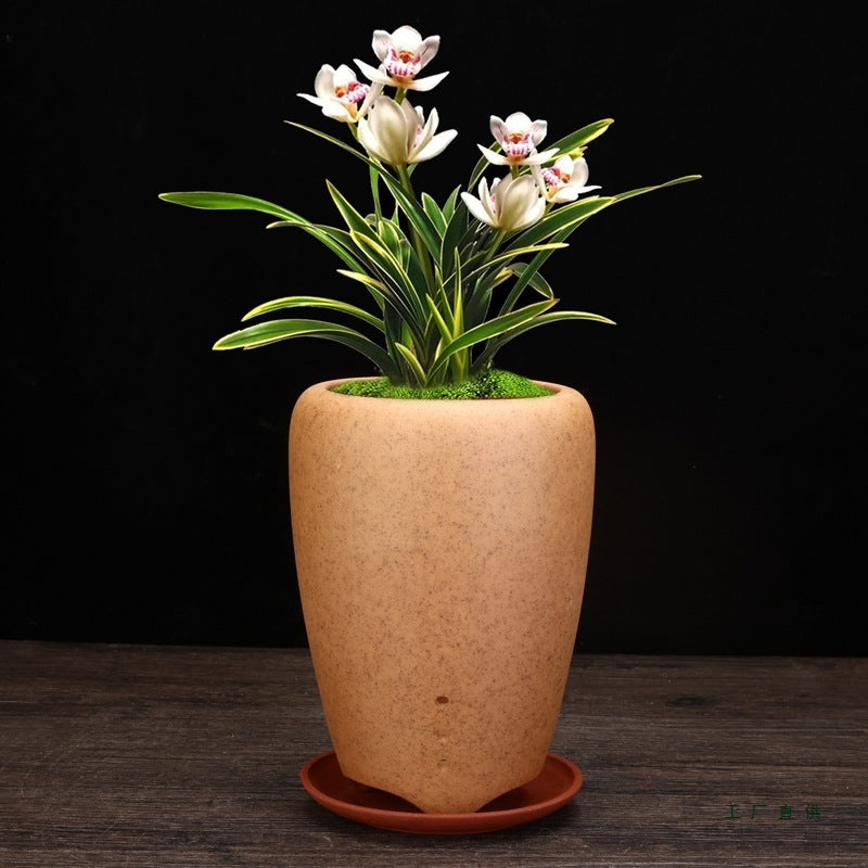 Firewood Purple Sand Orchid Pots Bamboo Basin Breathable Bonsai